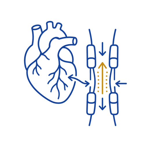EECP 反搏血流增益概念插圖